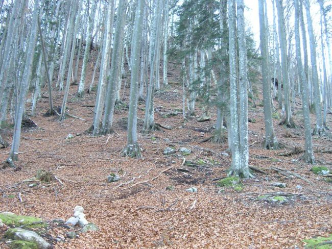  možic v pomoč (pogled nazaj)