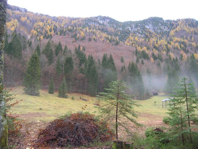 Lengarjev rovt
