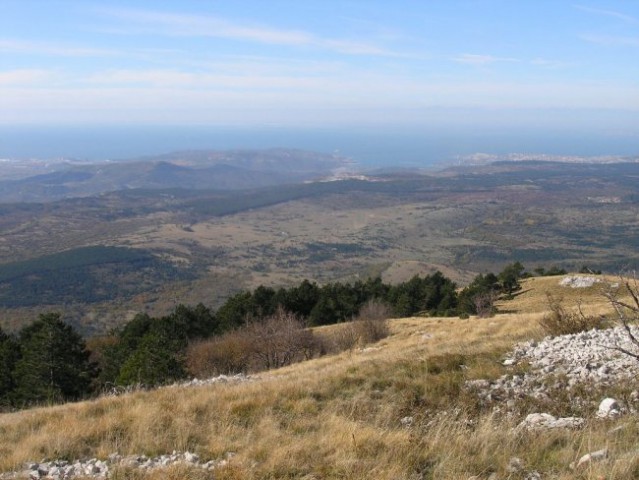 Slavnik iz Podgorja - foto