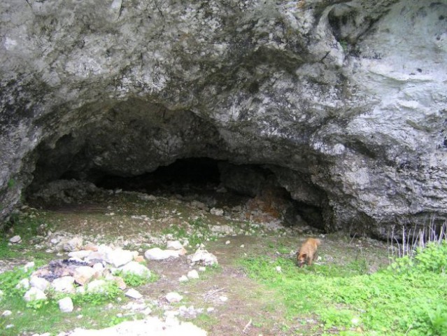Medvedja jama-iz pl. Korošica - foto
