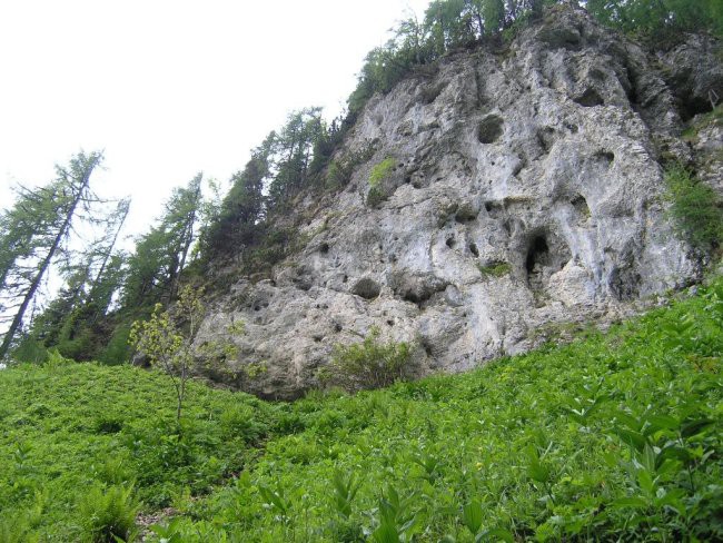 Medvedja jama-iz pl. Korošica - foto povečava