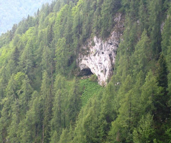 Medvedja jama-iz pl. Korošica - foto povečava