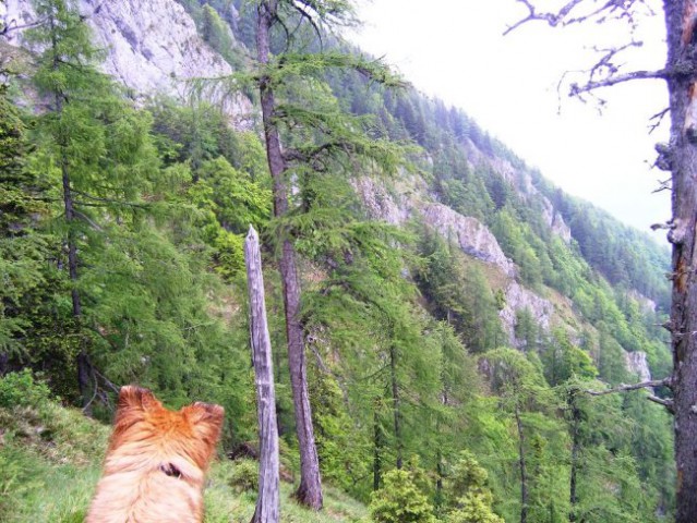 Medvedja jama-iz pl. Korošica - foto