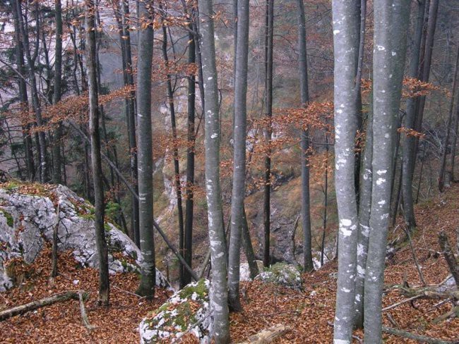 Čez skok pod Vežico in čez Najnar štant nazaj - foto povečava