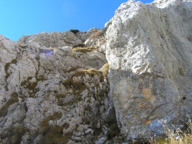 Gamsov skret-bivak pod Skuto-žmavčarji - foto