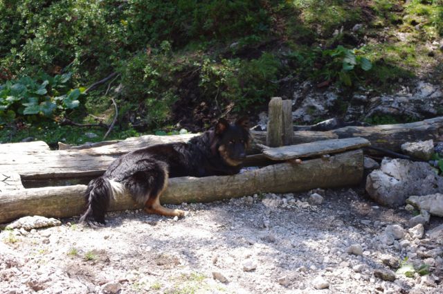 08.'10 - Podvežak, Ravne - foto