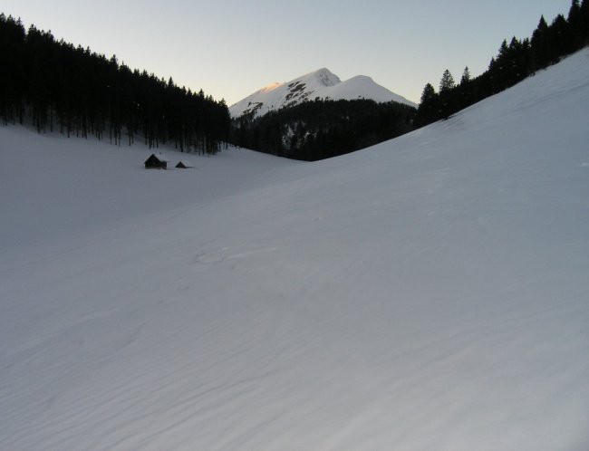 Struška - foto povečava