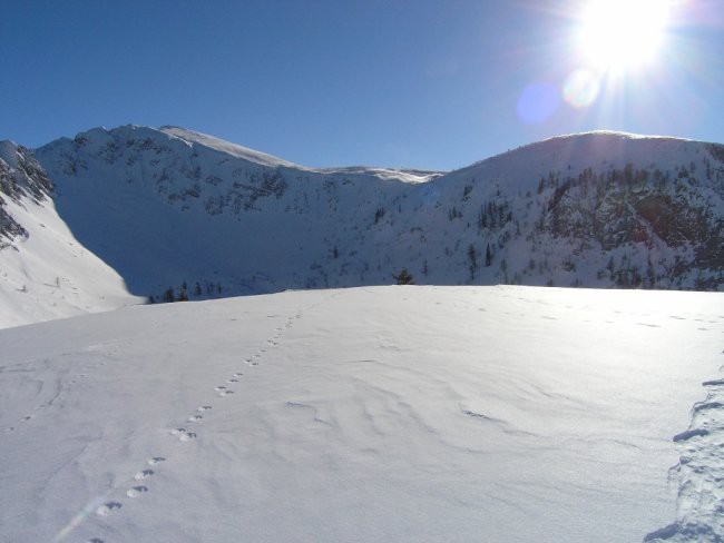 Struška - foto povečava