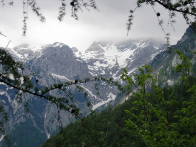 Mešenik-Črni vrh-K.dedec - foto