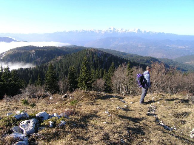 Ratitovec s Sorice - foto povečava