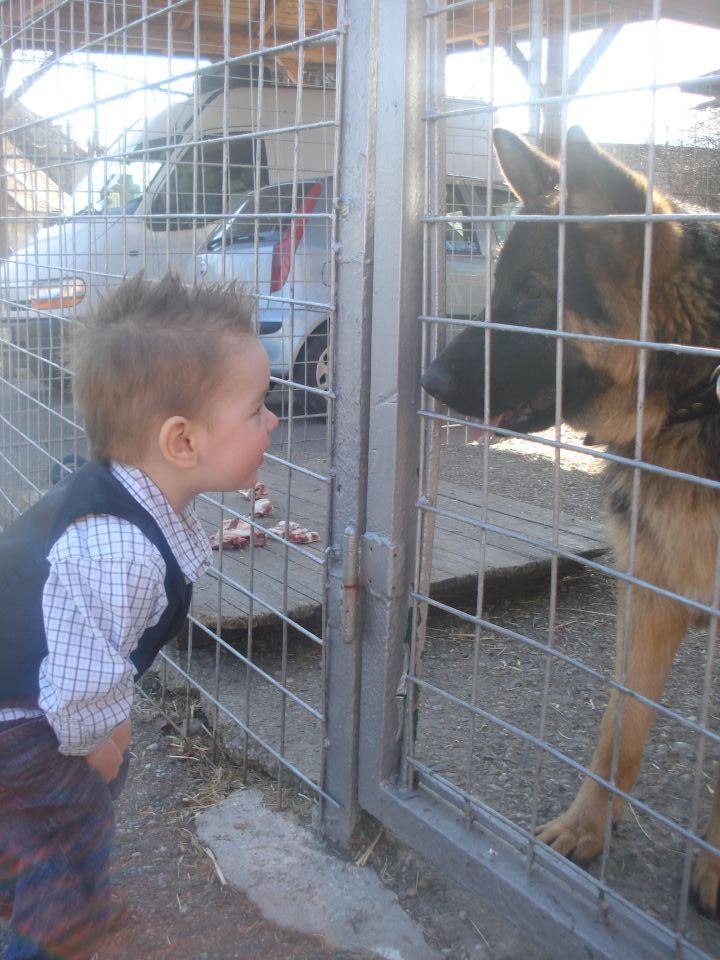 Nino, lana - foto povečava