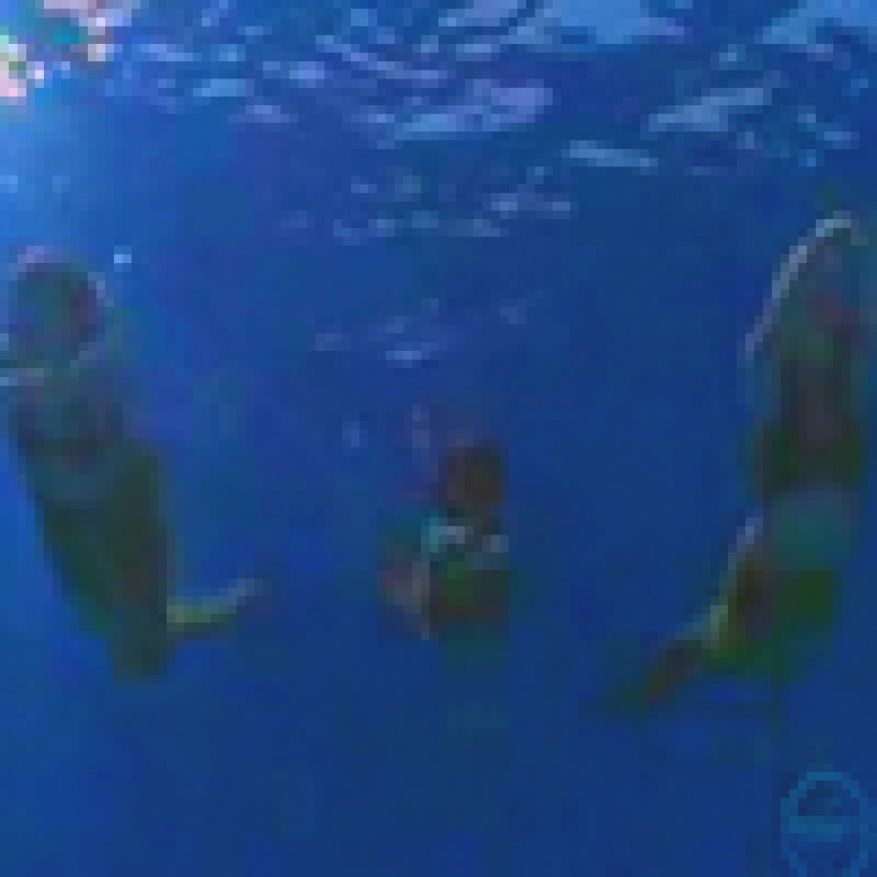 H2o-Avki - foto povečava