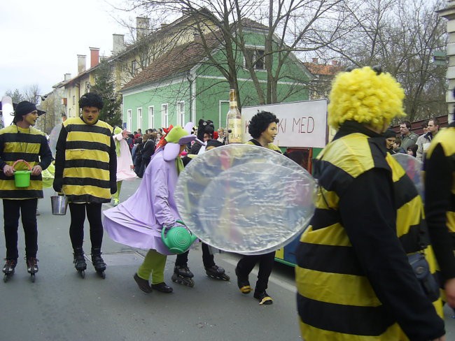 Ptujski karneval 2008 - foto povečava