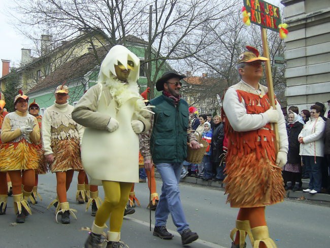 Ptujski karneval 2008 - foto povečava