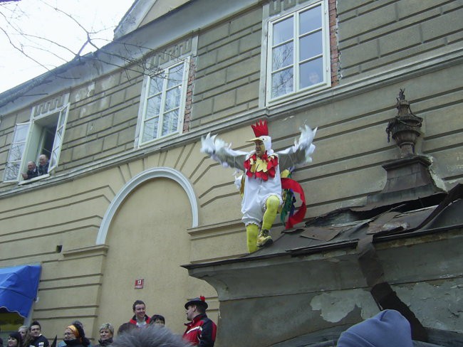 Ptujski karneval 2008 - foto povečava