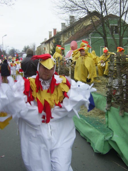 Ptujski karneval 2008 - foto povečava