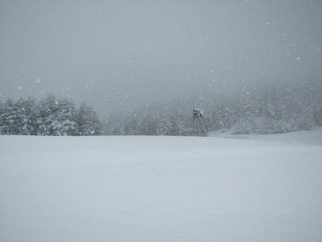 Marec 2008 - foto povečava