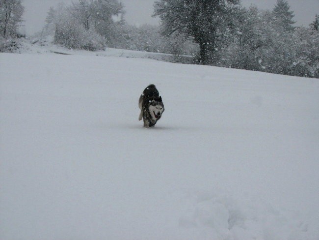 Marec 2008 - foto povečava