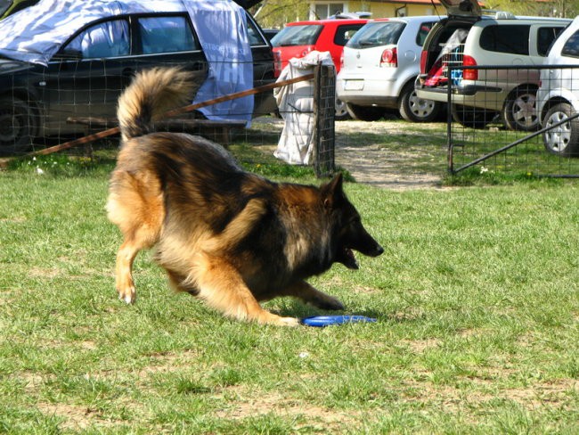 Frisbee seminar 04.04.2008 - foto povečava