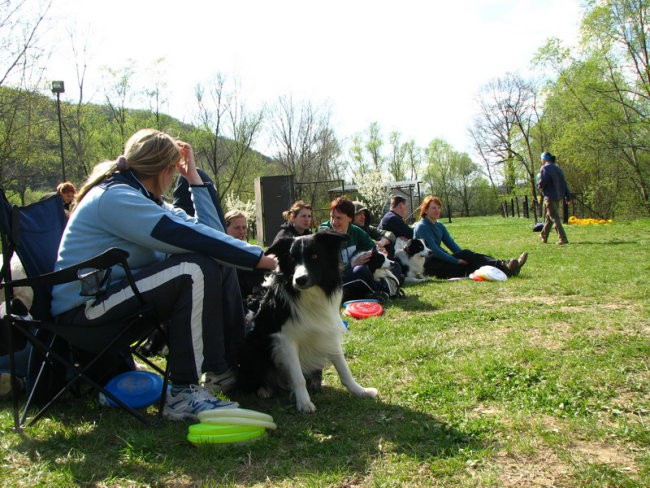 Frisbee seminar 04.04.2008 - foto povečava