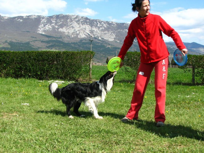 Frisbee seminar 04.04.2008 - foto povečava