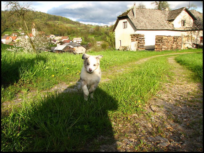 April 2008 - foto povečava