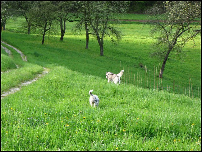 April 2008 - foto povečava