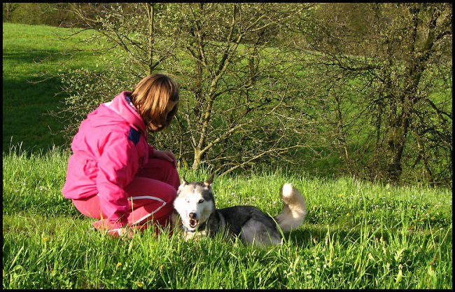 April 2008 - foto povečava