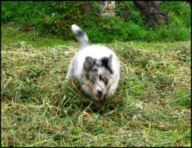 Phoebe, 1st days - foto