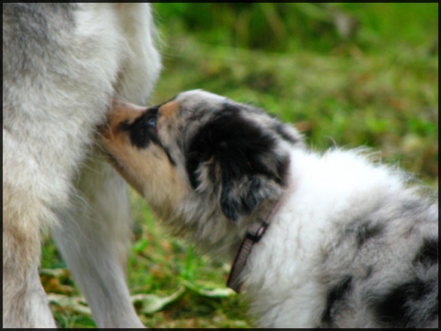 Phoebe, 1st days - foto