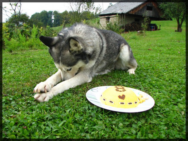 Živa, 8th birthday - foto