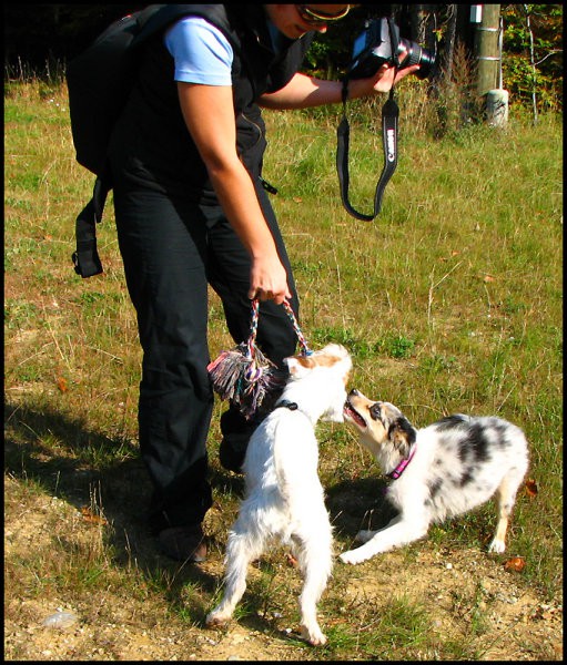 Oktober 2008 - foto povečava