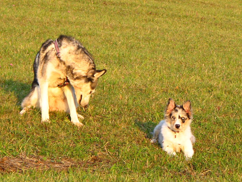 24.oktober 2008 - foto povečava