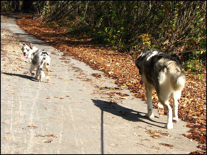 November 2008 - foto povečava