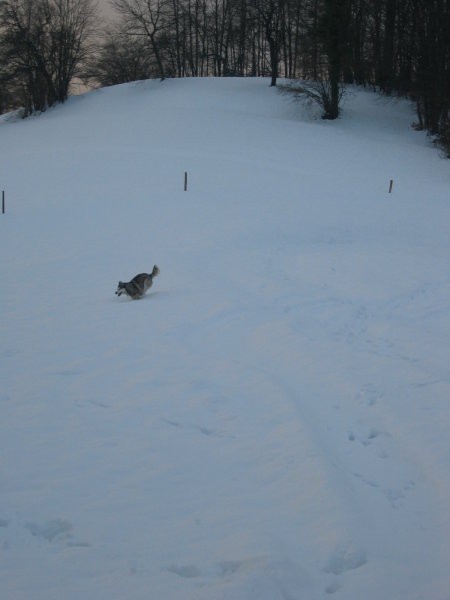Prvi sneg november 2005 - foto povečava