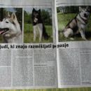 Razno (oprema, članki,...)