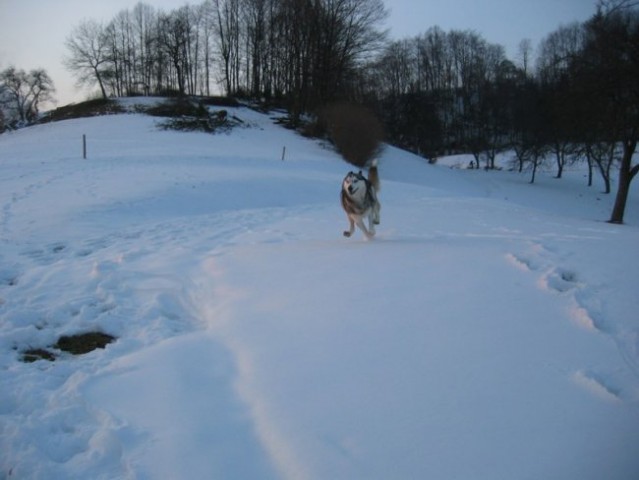 ŽIVA marec 2006 - foto