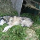 maj 2006