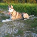 jesen 2006