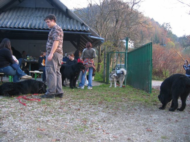 5.pesjanarsko srečanje - foto povečava