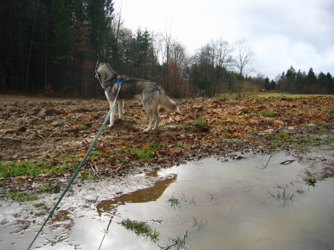 Sprehod po dežju, 24.01.2007 - foto povečava