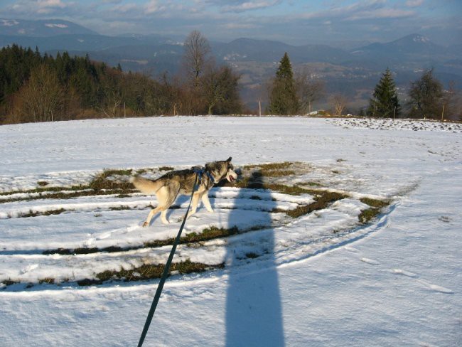 Sprehod GEOSS, Zg.Slivna 29.01.07 - foto povečava