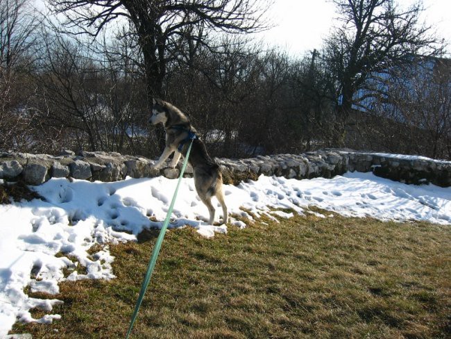 Sprehod GEOSS, Zg.Slivna 29.01.07 - foto povečava