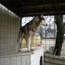 februar 2007