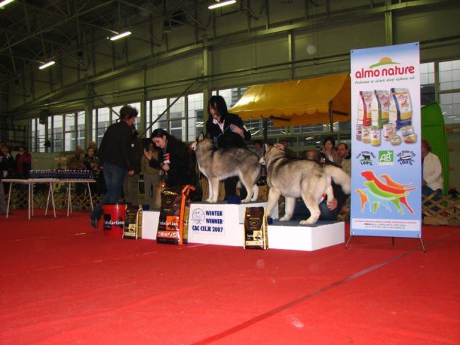 CAC Celje, 25.02.2007 - foto povečava