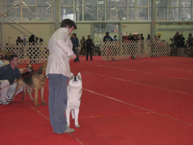 CAC Celje, 25.02.2007 - foto povečava