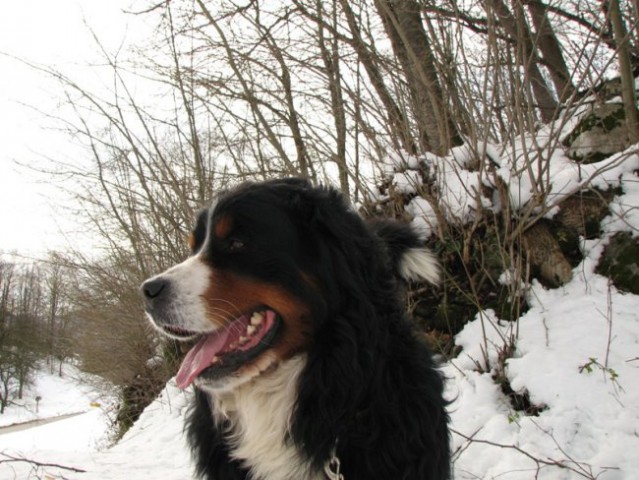 Marec 2007 - foto