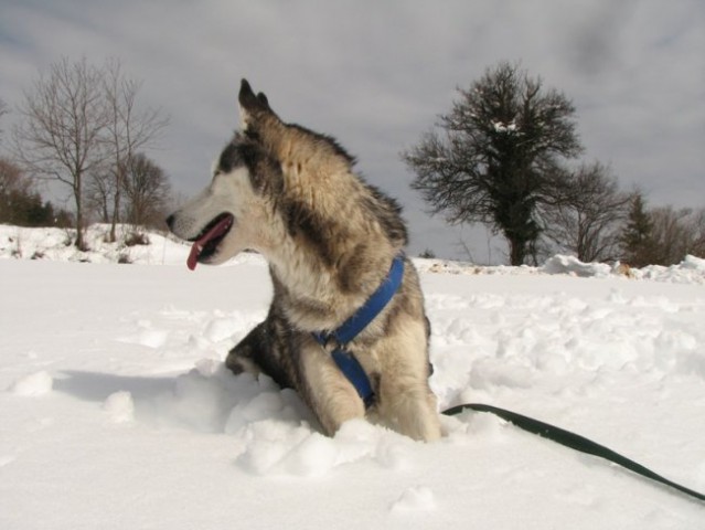 Marec 2007 - foto