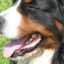 maj 2007