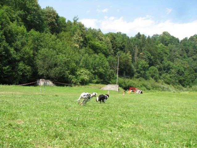 6.pesjanarsko srečanje - foto